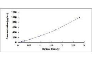 Neurotrophin 4 (NTF4) ELISA Kit