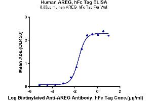 ELISA image for Amphiregulin (AREG) (AA 101-187) protein (Fc Tag) (ABIN7273804)