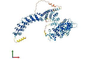 AlphaFold protein structure predicition of Mouse Recombinant Hace1 Protein, UniprotID Q3U0D9