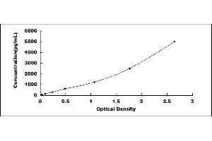 Typical standard curve (Periostin ELISA Kit)