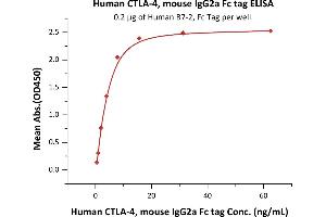 Immobilized Human B7-2, Fc Tag (ABIN2180621,ABIN2180620) at 2 μg/mL (100 μL/well) can bind Human CTLA-4, mouse IgG2a Fc tag, low endotoxin (ABIN4949091,ABIN4949092) with a linear range of 0. (CTLA4 Protein (AA 37-162) (Fc Tag))