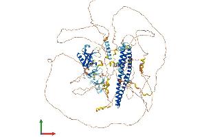 AlphaFold protein structure predicition of Human Recombinant PLEKHA7 Protein, UniprotID Q6IQ23 (PLEKHA7 Protein (AA 1-1121) (His tag))