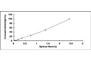 Typical standard curve (PARK7/DJ1 ELISA Kit)