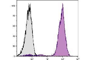 Chicken peripheral blood lymphocytes were stained with Mouse Anti-Chicken CD44-PE. (CD44 antibody  (PE))