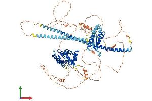 AlphaFold protein structure predicition of Mouse Recombinant Snx29 Protein, UniprotID Q9D3S3