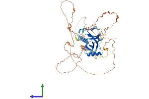 AlphaFold protein structure predicition of Mouse Recombinant Ccm2l Protein, UniprotID Q8VCC6 (C20orf160 Protein (AA 1-481) (His tag))