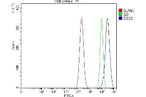 Flow Cytometry analysis of CACO-2 cells using anti-SGO2 antibody (ABIN7602258).