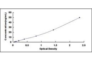 Typical standard curve (C1q ELISA Kit)