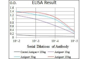 ELISA image for anti-Matrix Metalloproteinase 2 (MMP2) (AA 242-396) antibody (ABIN1844833) (MMP2 antibody  (AA 242-396))