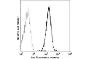 Image no. 1 for anti-CD80 (CD80) antibody (ABIN205436) (CD80 antibody)