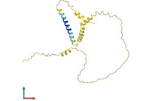 AlphaFold protein structure predicition of Human Recombinant PTPRCAP Protein, UniprotID Q14761 (PTPRCAP Protein (AA 1-206) (His tag))