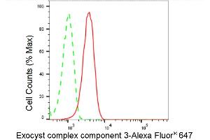 Flow cytometric analysis of Exocyst complex component 3 expression in HepG2 cells using Exocyst complex component 3 antibody (ABIN7798543), 1:2,000). (Recombinant EXOC3 antibody)