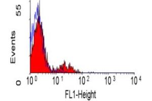 ABIN118625 staining of human peripheral blood lymphocytes. (CD39 antibody  (FITC))