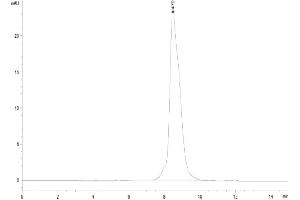 Size-exclusion chromatography-High Pressure Liquid Chromatography (SEC-HPLC) image for Paired Immunoglobin-Like Type 2 Receptor alpha (PILRA) (AA 32-197) protein (His tag) (ABIN7275475)