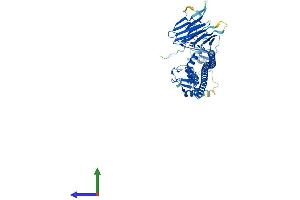 Protein Structure (PS) image for Tripartite Motif Containing 35 (TRIM35) (AA 1-493) protein (His tag) (ABIN7544624)