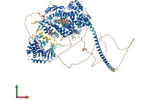 Protein Structure (PS) image for Myosin IIIB (MYO3B) (AA 1-1305) protein (His tag) (ABIN7563642)