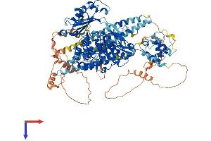 MICAL1 Protein (AA 1-1067) (His tag)