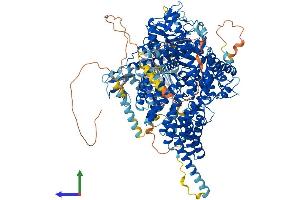 AlphaFold protein structure predicition of Human Recombinant CLUH Protein, UniprotID O75153 (CLUH Protein (AA 1-1309) (His tag))