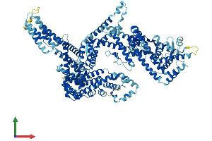 AlphaFold protein structure predicition of Mouse Recombinant Washc5 Protein, UniprotID Q8C2E7