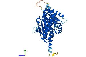 AlphaFold protein structure predicition of Human Recombinant LPGAT1 Protein, UniprotID Q92604 (LPGAT1 Protein (AA 1-370) (His tag))