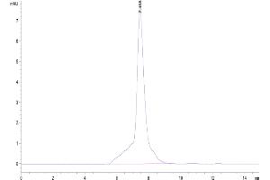 Size-exclusion chromatography-High Pressure Liquid Chromatography (SEC-HPLC) image for Tumor Necrosis Factor Receptor Superfamily, Member 9 (TNFRSF9) (AA 24-211) protein (His tag) (ABIN7273926)