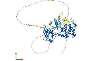 AlphaFold protein structure predicition of Human Recombinant CHEK2 Protein, UniprotID O96017 (CHEK2 Protein (AA 1-543) (His tag))