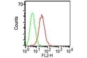 Flow Cytometry of KG-1 cells using CD34 Monoclonal Antibody (ICO-115) (red) and isotype control (green). (CD34 antibody)