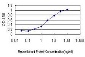Detection limit for recombinant GST tagged IFI16 is approximately 0. (IFI16 antibody  (AA 630-729))