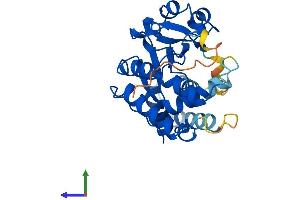 AlphaFold protein structure predicition of Human Recombinant SULT4A1 Protein, UniprotID Q9BR01 (SULT4A1 Protein (AA 1-284) (His tag))