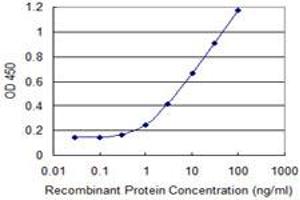 Detection limit for recombinant GST tagged ANGPTL3 is 0. (ANGPTL3 antibody  (AA 361-460))