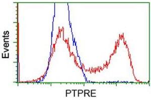 Flow Cytometry (FACS) image for anti-Protein tyrosine Phosphatase, Receptor Type, E (PTPRE) antibody (ABIN1500507) (PTPRE antibody)