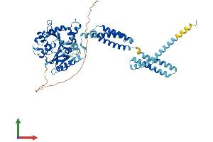 AlphaFold protein structure predicition of Human Recombinant ATL2 Protein, UniprotID Q8NHH9