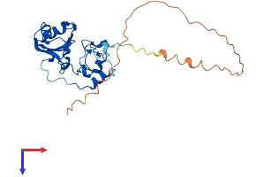 AlphaFold protein structure predicition of Human Recombinant SNRNP35 Protein, UniprotID Q16560 (SNRNP35 Protein (AA 1-246) (His tag))