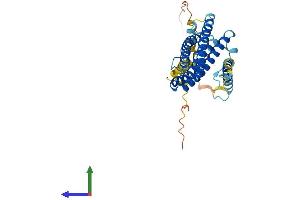 AlphaFold protein structure predicition of Mouse Recombinant Scamp2 Protein, UniprotID Q9ERN0 (SCAMP2 Protein (AA 1-329) (His tag))