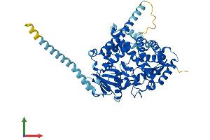 AlphaFold protein structure predicition of Mouse Recombinant Cyp4v2 Protein, UniprotID Q9DBW0