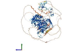 Protein Structure (PS) image for Lysine (K)-Specific Demethylase 2B (KDM2B) (AA 1-1309) protein (His tag) (ABIN7564078)