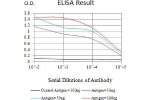 Black line: Control Antigen (100 ng),Purple line: Antigen (10 ng), Blue line: Antigen (50 ng), Red line:Antigen (100 ng) (TR4 antibody  (AA 62-356))