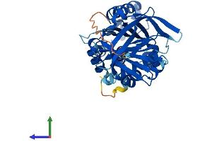 AlphaFold protein structure predicition of Human Recombinant SERPINB6 Protein, UniprotID P35237 (SERPINB6 Protein (AA 1-376) (His tag))