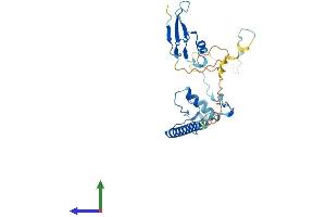 AlphaFold protein structure predicition of Mouse Recombinant Mbd3 Protein, UniprotID Q9Z2D8 (MBD3 Protein (AA 1-285) (His tag))