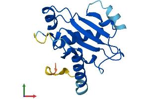 Protein Structure (PS) image for Ubiquitin-Conjugating Enzyme E2Q Family-Like 1 (UBE2QL1) (AA 1-161) protein (His tag) (ABIN7544842)