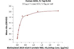 Immobilized Human ACE2, Fc Tag (MALS verified) ( ABIN6952459) at 2 μg/mL (100 μL/well) can bind Biotinylated 2019-nCoV S protein RBD, His,Avitag (MALS verified) ( ABIN6952456) with a linear range of 0.