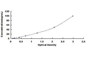 Alkaline Phosphatase ELISA Kit