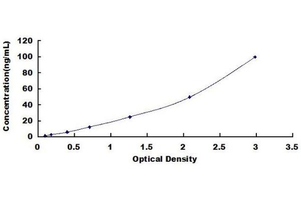 Alkaline Phosphatase ELISA Kit