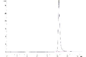 Size-exclusion chromatography-High Pressure Liquid Chromatography (SEC-HPLC) image for Metalloproteinase Inhibitor 2 (TIMP2) (AA 27-220) protein (His tag) (ABIN7275741)