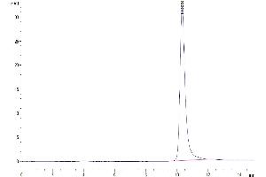 The purity of Mouse TIMP-2 is greater than 95 % as determined by SEC-HPLC.