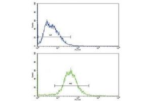 Flow cytometric analysis of HepG2 cells using ALDH1A1 antibody (green) (ALDH1A1 antibody  (AA 302-331))