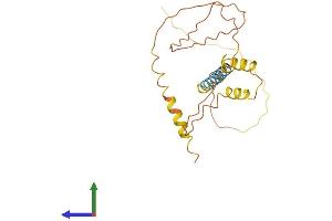 AlphaFold protein structure predicition of Human Recombinant DNM1P46 Protein, UniprotID Q6ZS02 (DNM1P46 Protein (AA 1-220) (His tag))