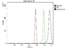 Flow Cytometry analysis of RH35 cells using anti-EIF4A1 antibody (ABIN7603144). (EIF4A1 antibody  (N-Term))