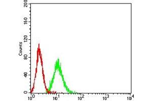 Flow cytometric analysis of K562 cells using CD46 mouse mAb (green) and negative control (red).