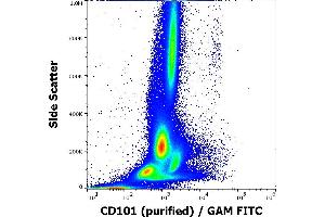 Flow cytometry surface staining pattern of human peripheral whole blood stained using anti-human CD101 (BB27) purified antibody (concentration in sample 0,56 μg/mL, GAM FITC). (CD101 antibody)